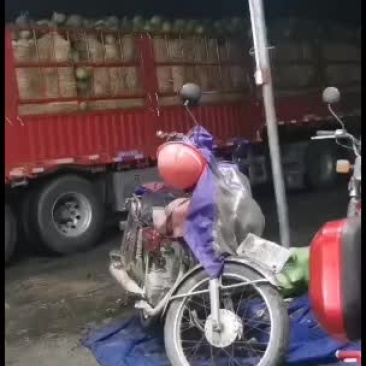 椰青，知我者莫说，良心做事，