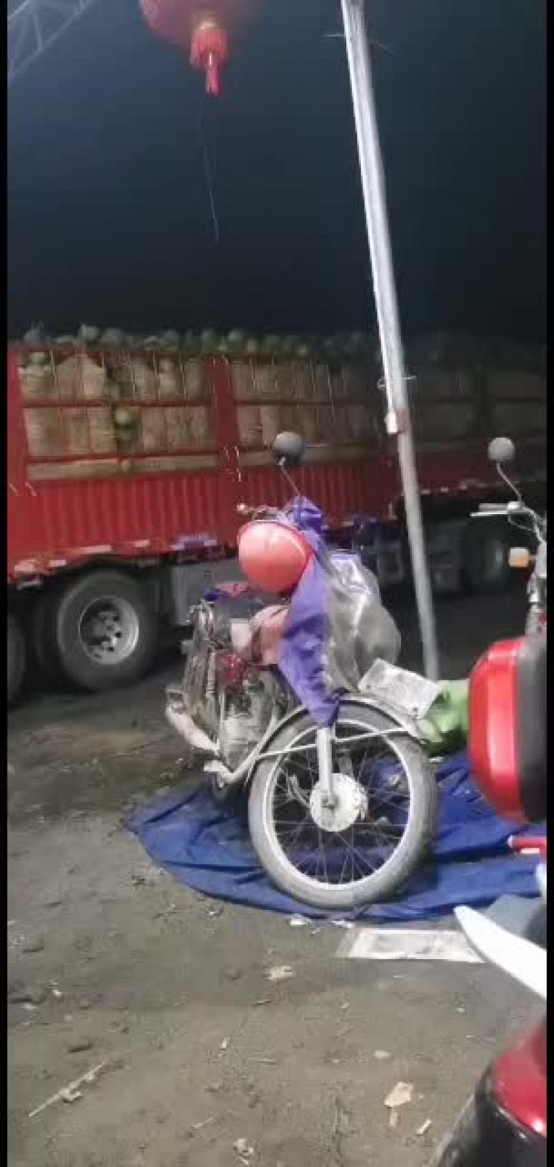 椰青，知我者莫说，良心做事，