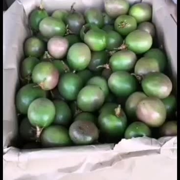 越南百香果，一级中大果