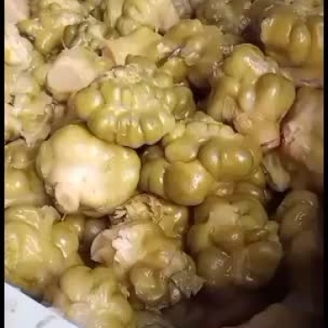 四川榨菜大量有货大量有货
