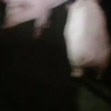 湘西南大型种养殖批发零售