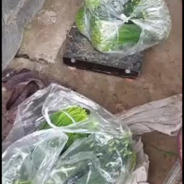 大棚韭苔加上露天韭苔