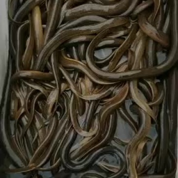 期待与您的合作