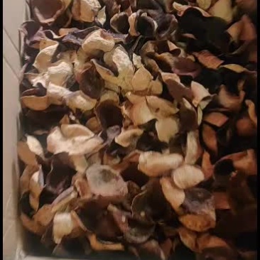 正棕新会陈皮自家种植