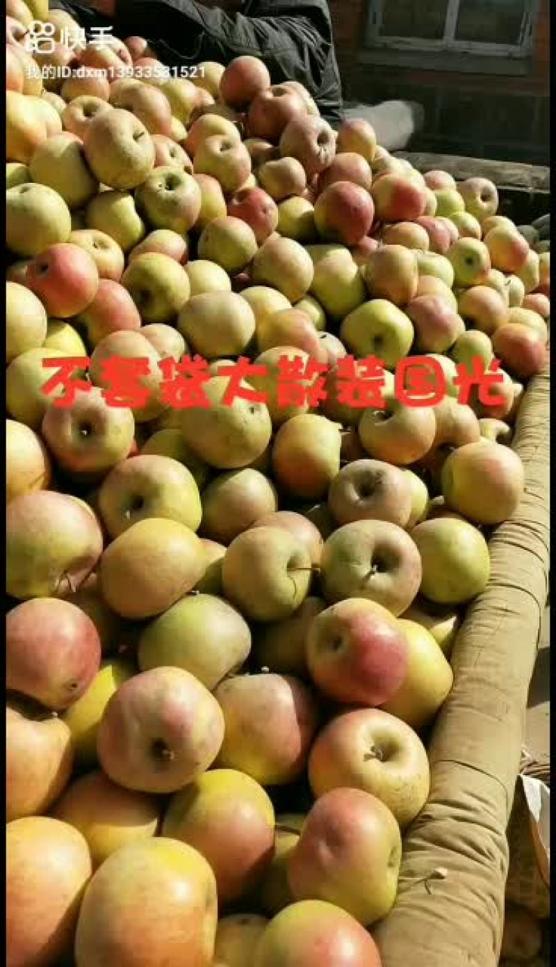 不套大国光苹果六毛到七毛