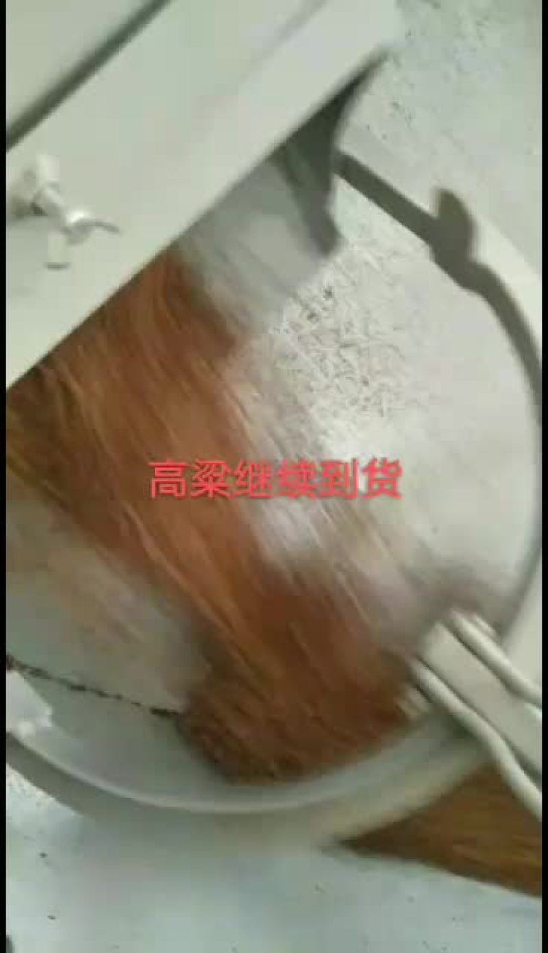 大量供应量大从优红高粱