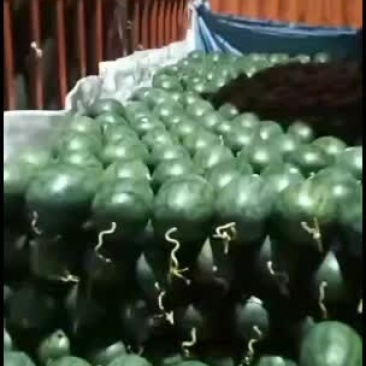 越南黑美人，诚信经营，代办全国各地市场
