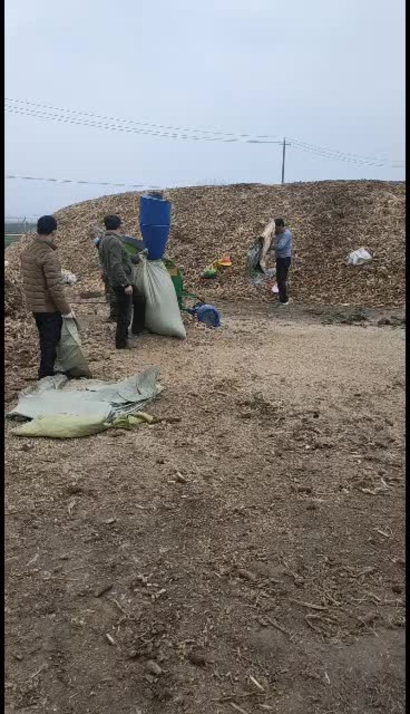 常年出售精品玉米芯颗粒