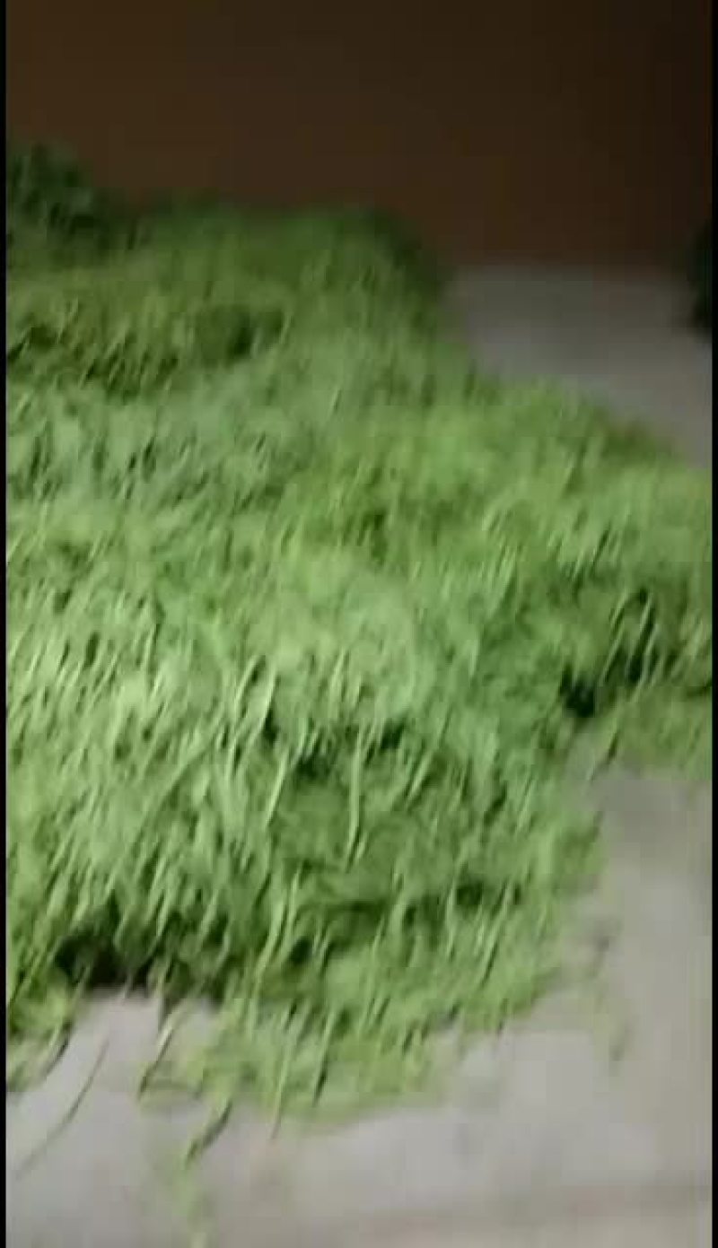 甘肃省天水市甘谷县盘安镇