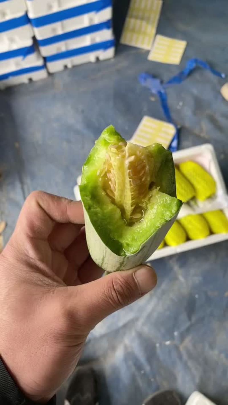博洋61甜瓜，电商对接，商超对接，档口对接，合作共赢。