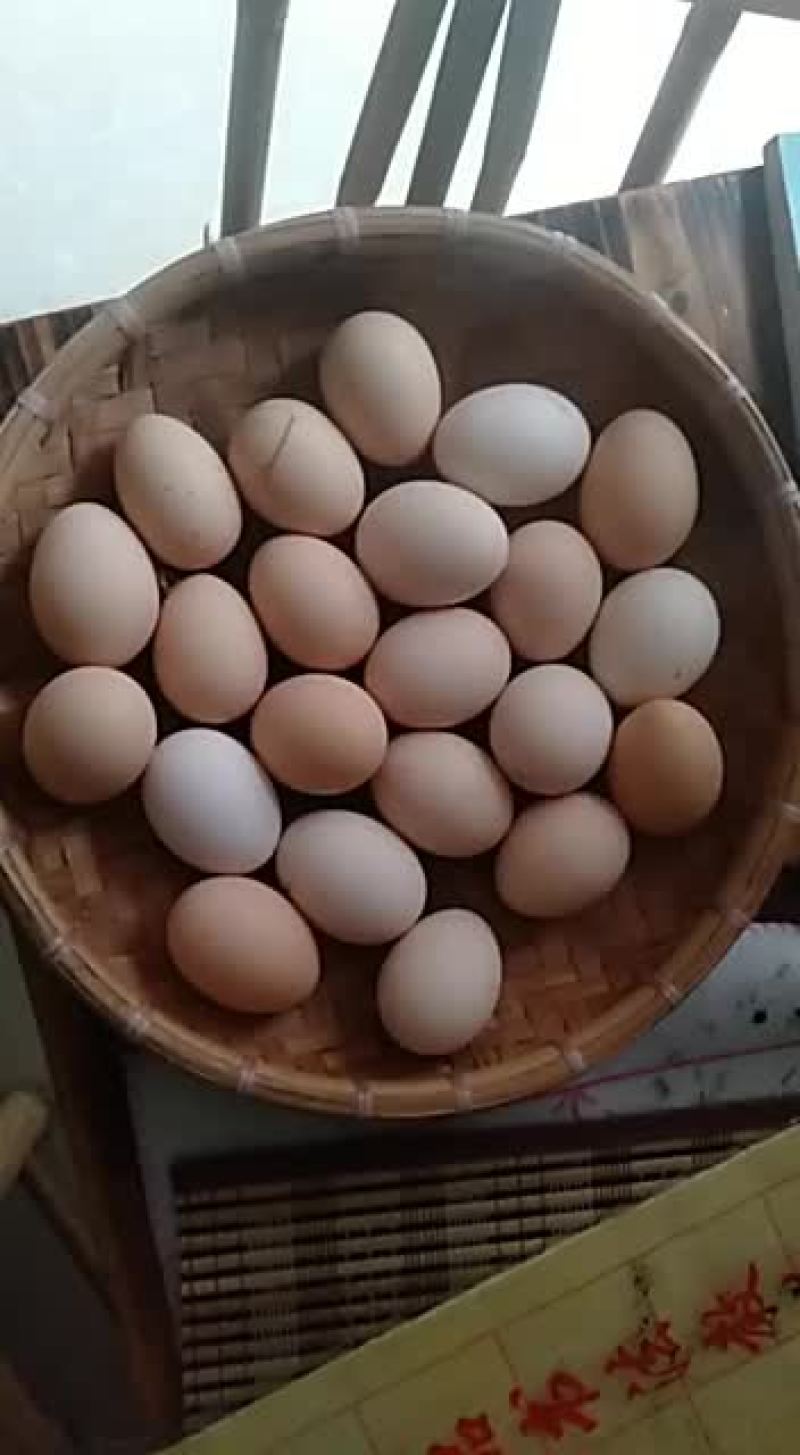 零售自家散养的土鸡蛋