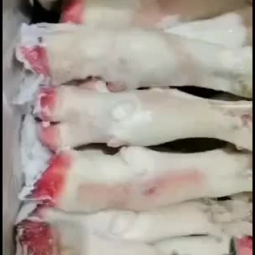 水腿羊蹄质量好价格不高厂家直销