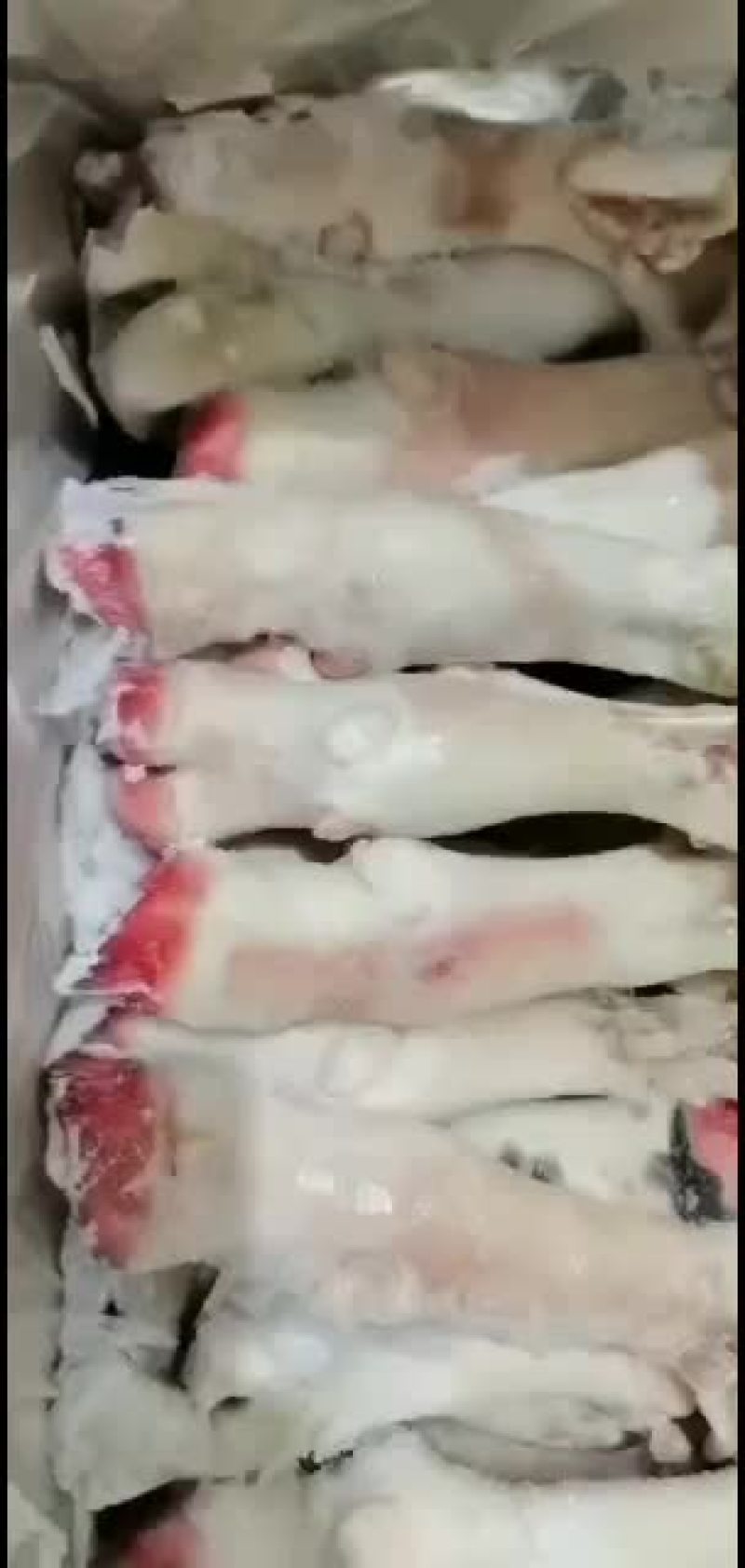 水腿羊蹄质量好价格不高厂家直销