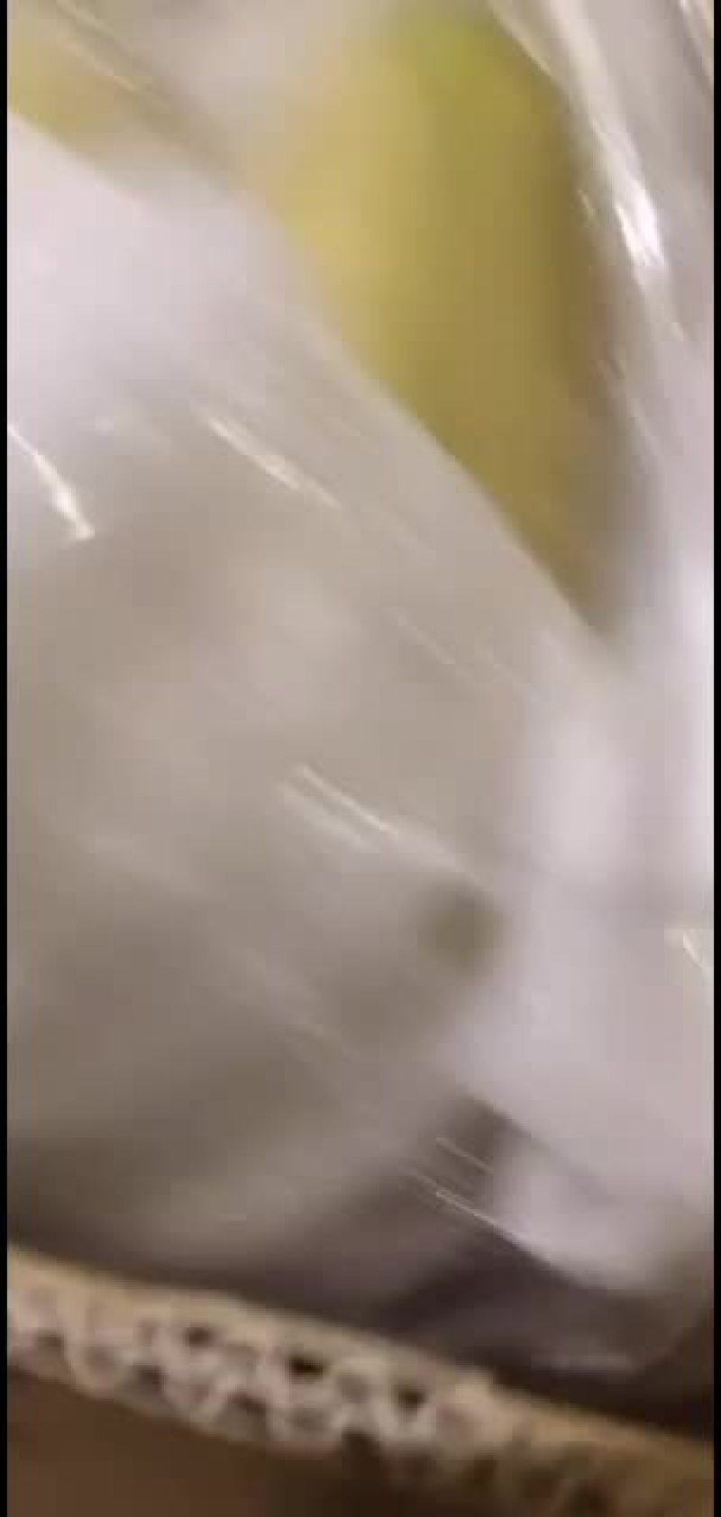 多乐，香蕉，保没有黑心，没有硬心。口感特甜