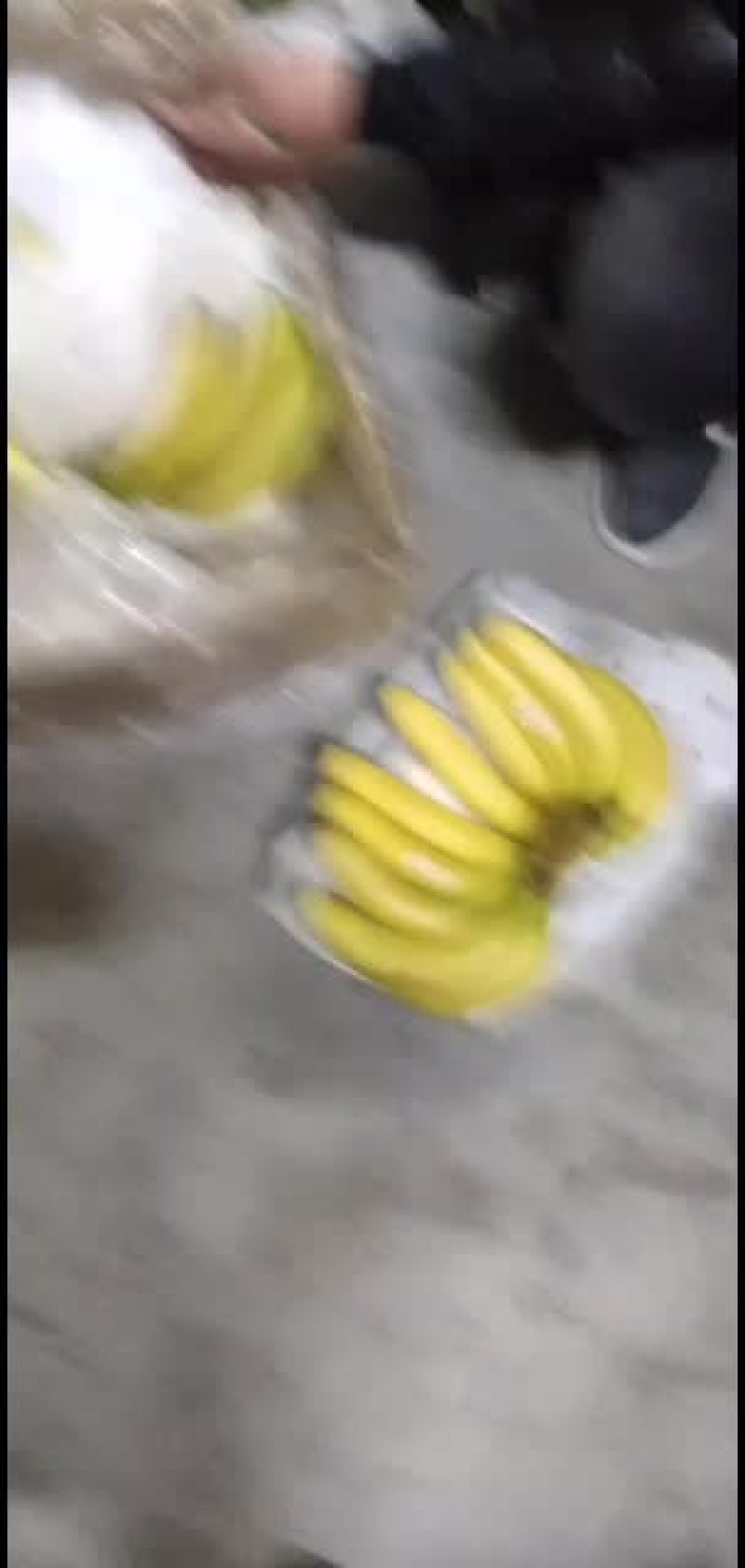 多乐，香蕉，保没有黑心，没有硬心。口感特甜