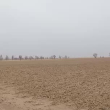 陕西省定边县纯土地水浇地