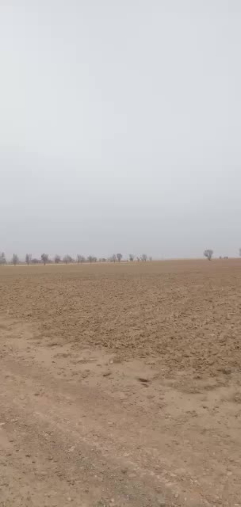 陕西省定边县纯土地水浇地