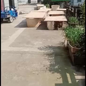 贵州米橡子粉，橡子批发零售