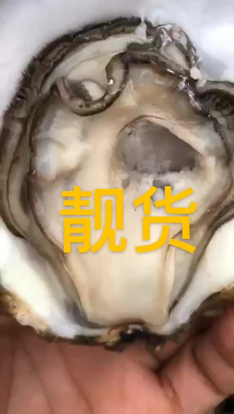 钦州大蚝脆甜爽口美味营养