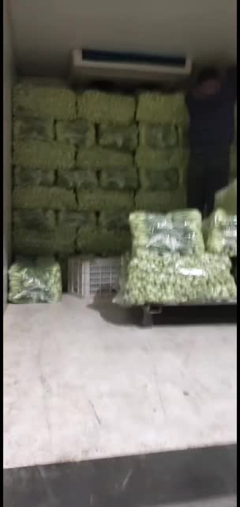 全国代收代发精品叶菜