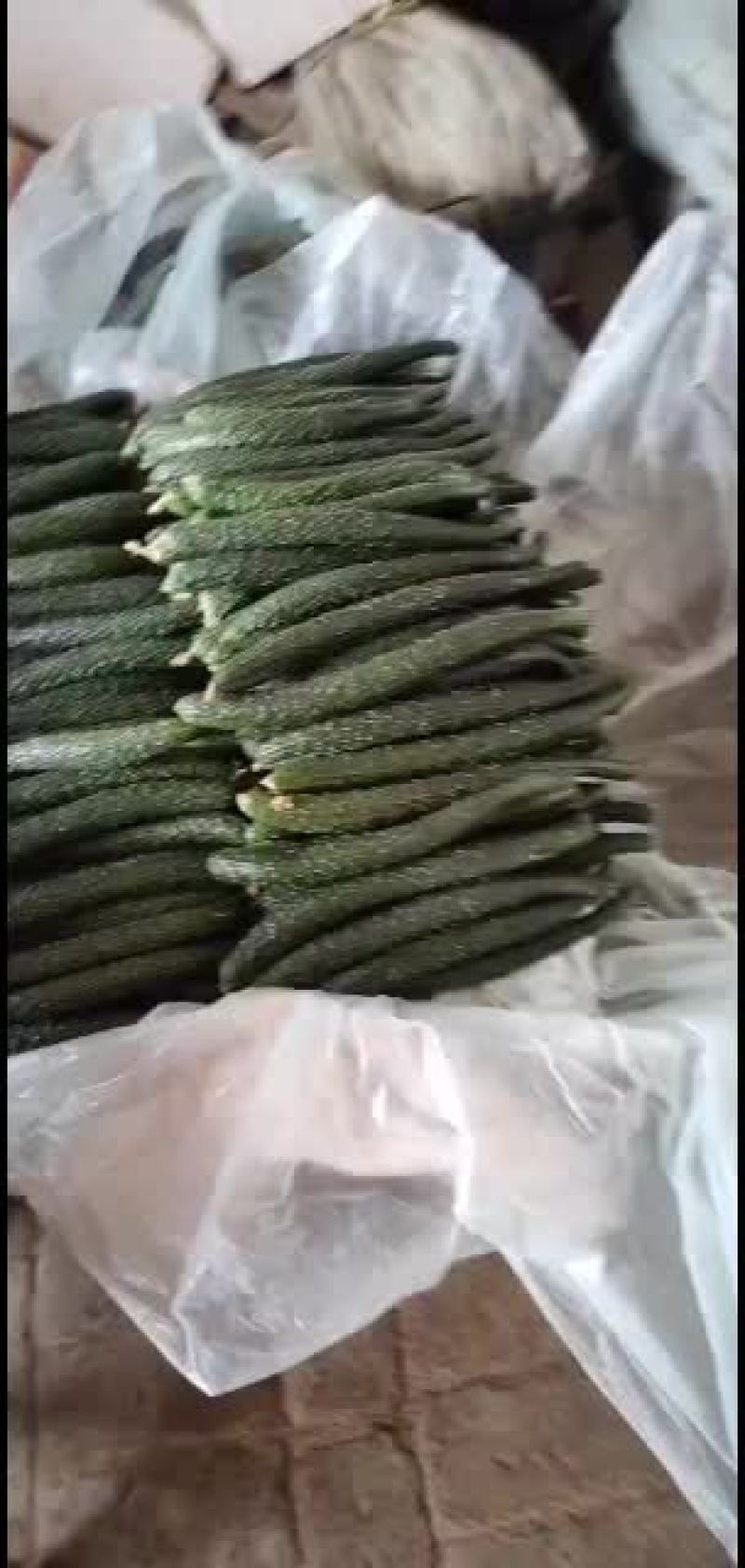 精品黄瓜，超市电商平台专供