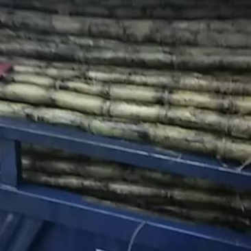 汉寿青皮正在热中，欢迎各位老板前来订购