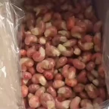 龙虾尾加工厂，直销，代加工