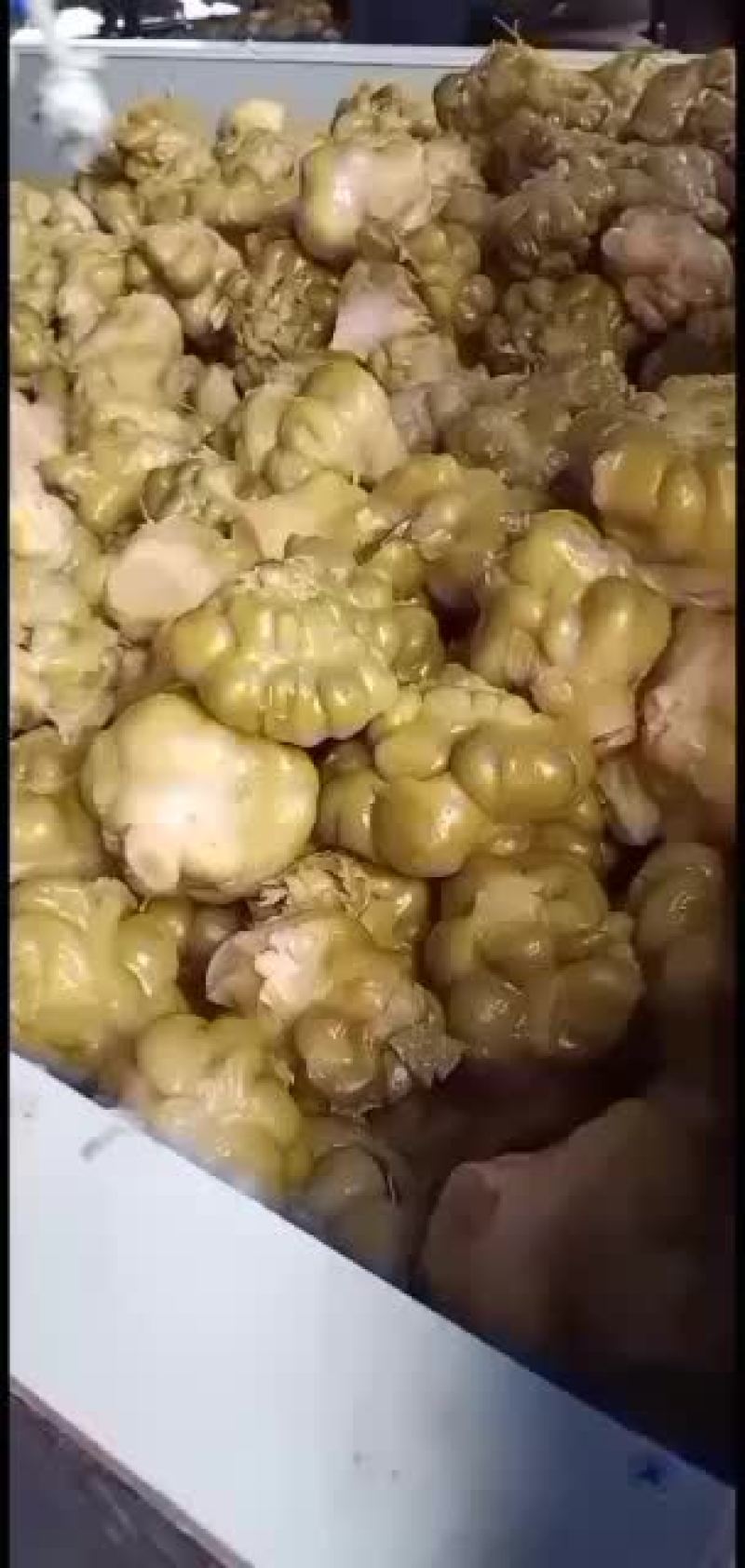 看炸菜大量有货，有需要的老板。随时联系