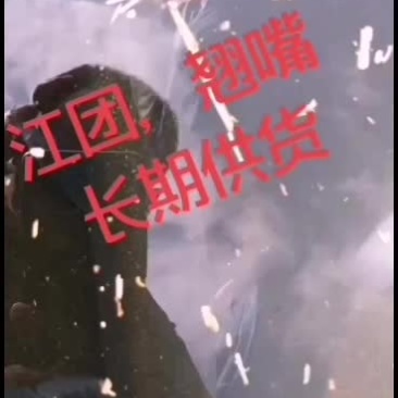 江黄鱼江团鱼长期有货四川重庆贵州可以客车带货