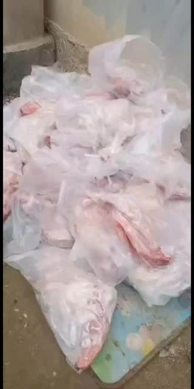 羊白条，鲜羊肉，纯干无水。全国配送，需要的联系