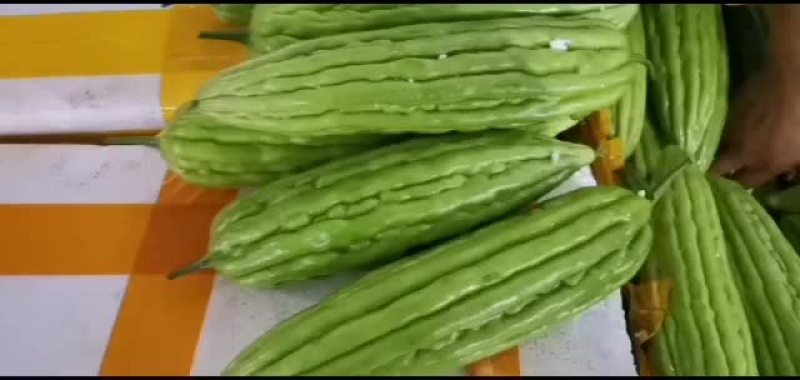 海南省精品，苦瓜，豆角，丝瓜