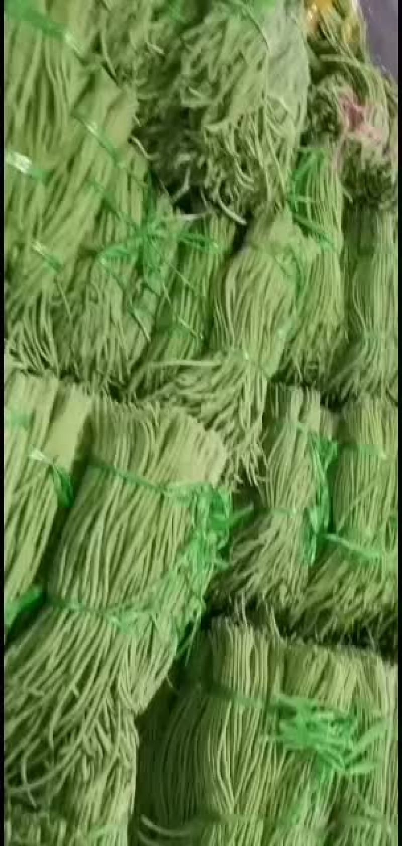海南省精品，苦瓜，豆角，丝瓜