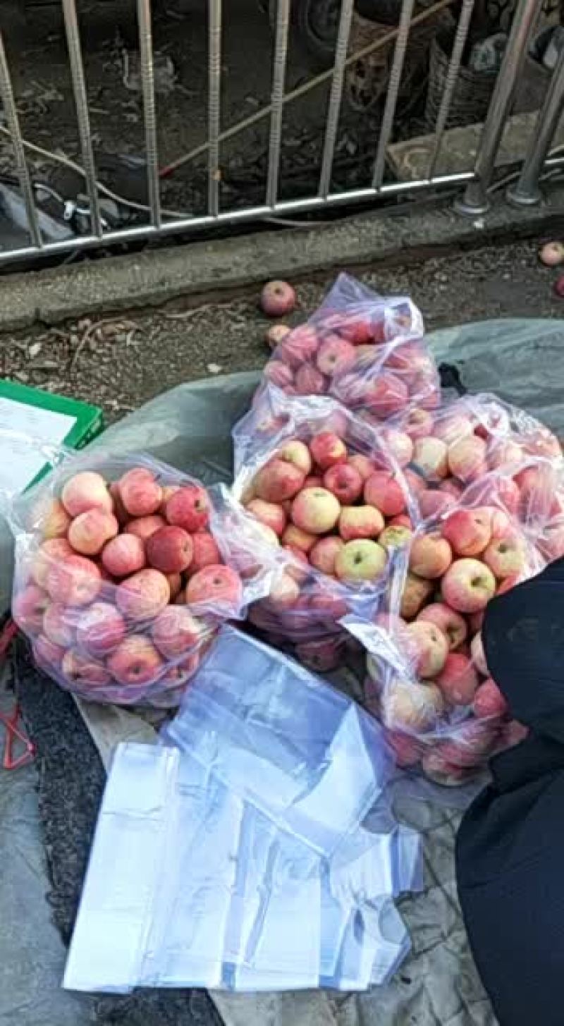 青龙山坡套袋小国光不套袋国光大量有货