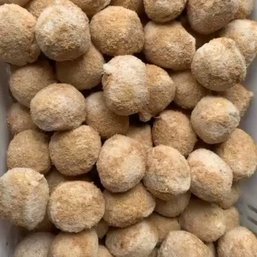 河南商丘变蛋量大从优