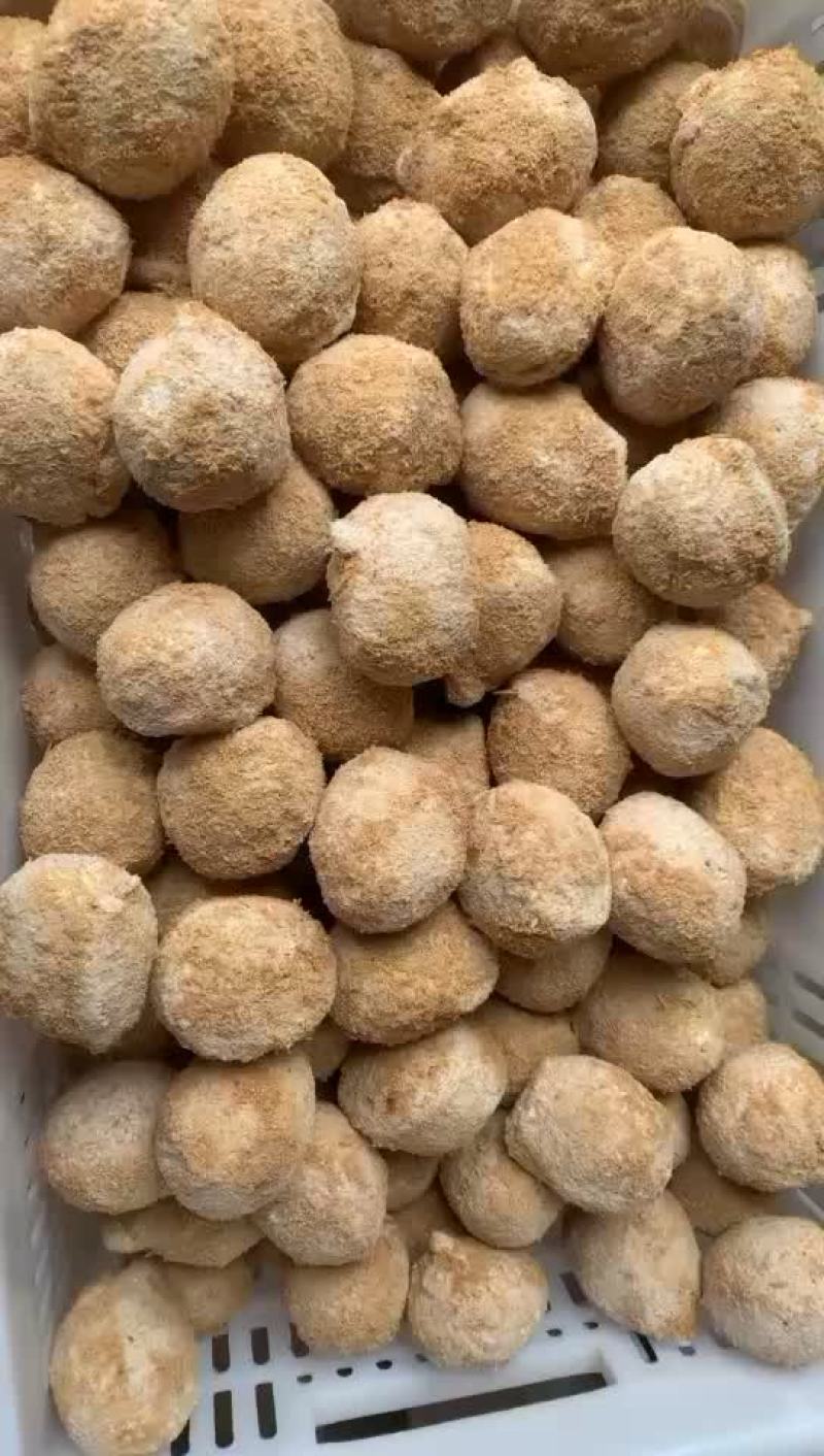 河南商丘变蛋量大从优