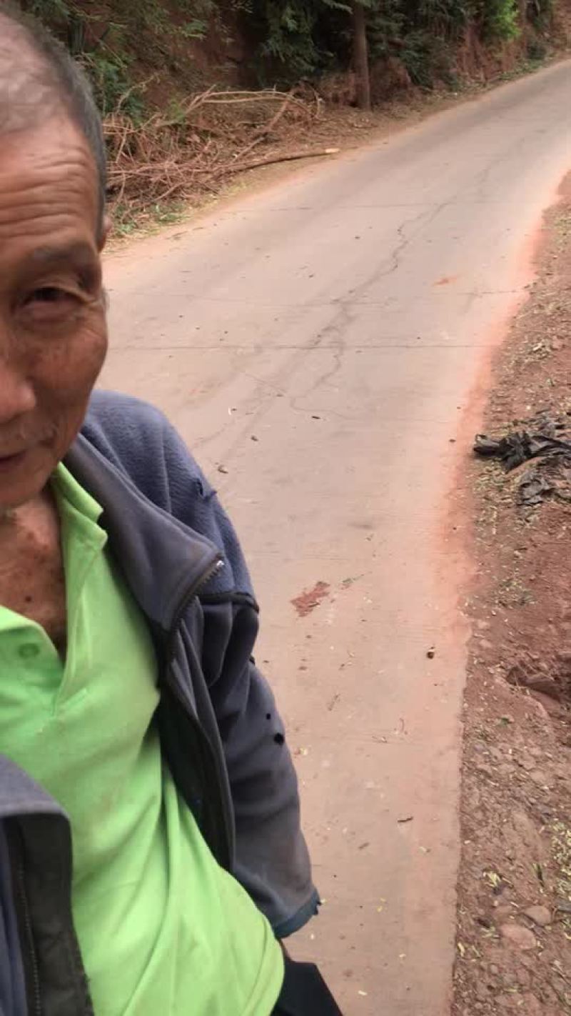 小金豆中货1.5，诚信代办代发
