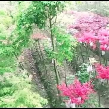 大量销售，低价处理，欢迎造购