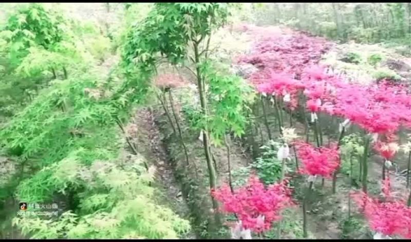 大量销售，低价处理，欢迎造购