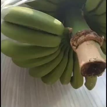 热带水果普通蕉果面干净