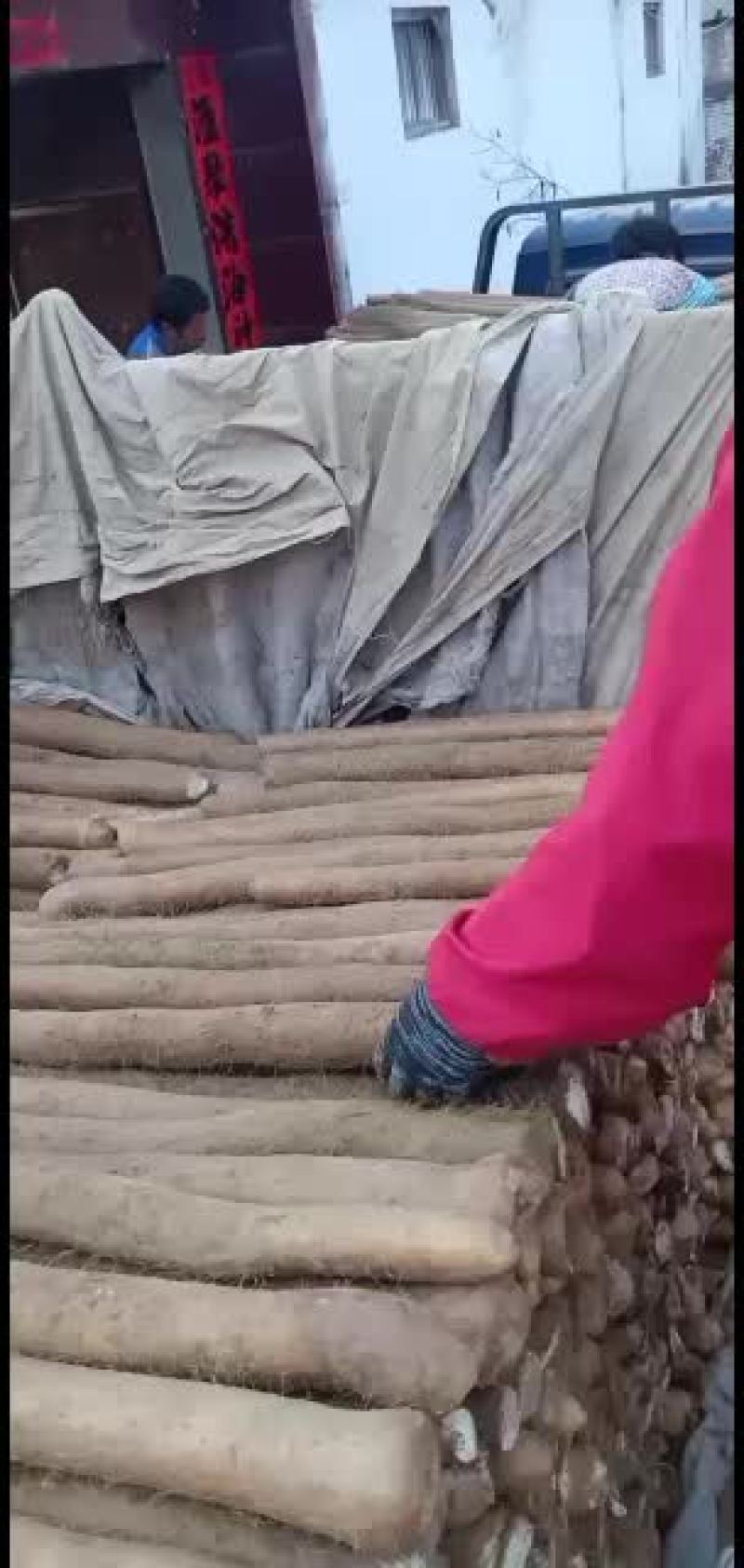 九斤黄山药，大量走货中欢迎新老朋友来采购！