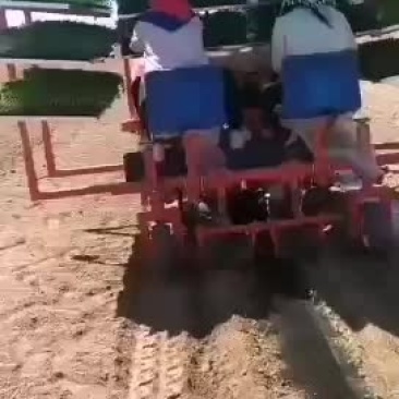 辣椒移栽机，多功能移栽移栽机。