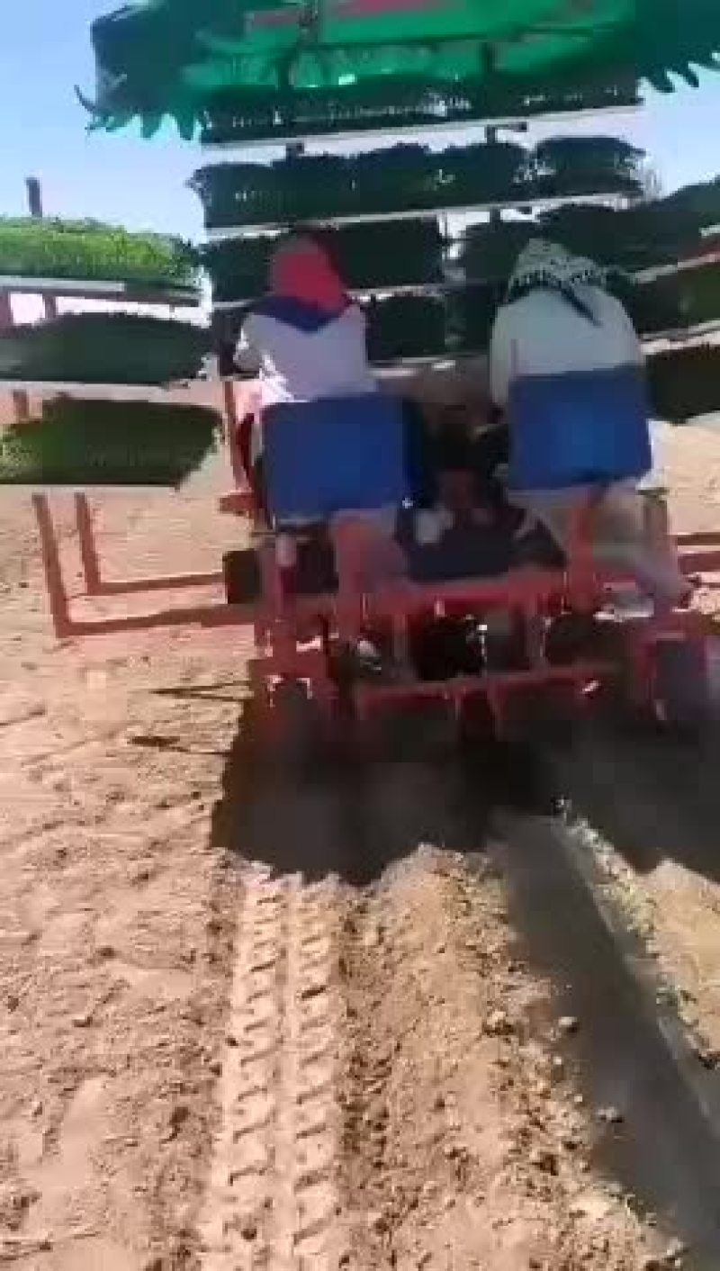 辣椒移栽机，多功能移栽移栽机。