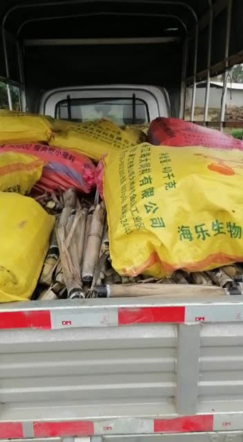 新鲜黑皮甘蔗种需要的请速下单