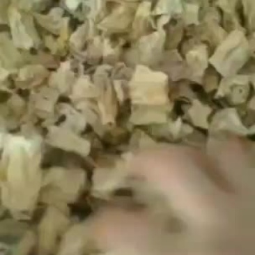大量批发各种山珍野菜干菇，支持一件代发