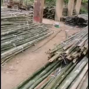 供应外架排山竹大量有货