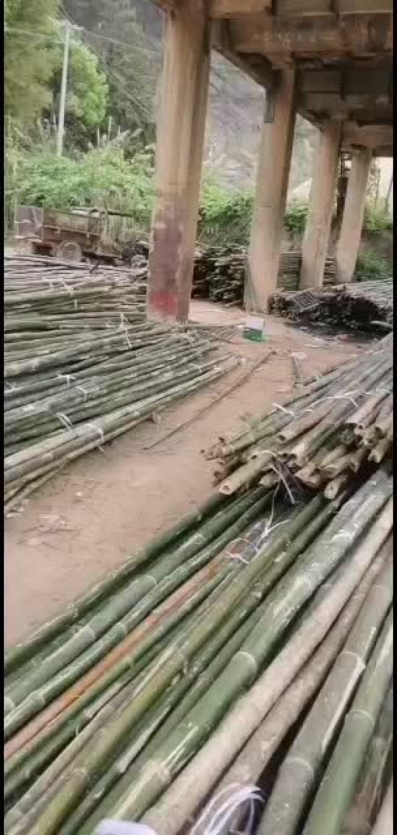 供应外架排山竹大量有货