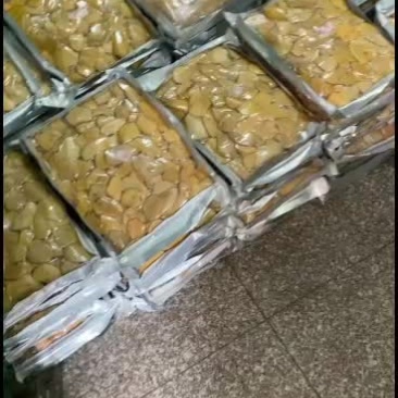 黄东革阿里，马来西亚东革阿里