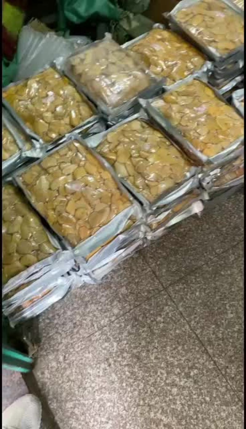 黄东革阿里，马来西亚东革阿里