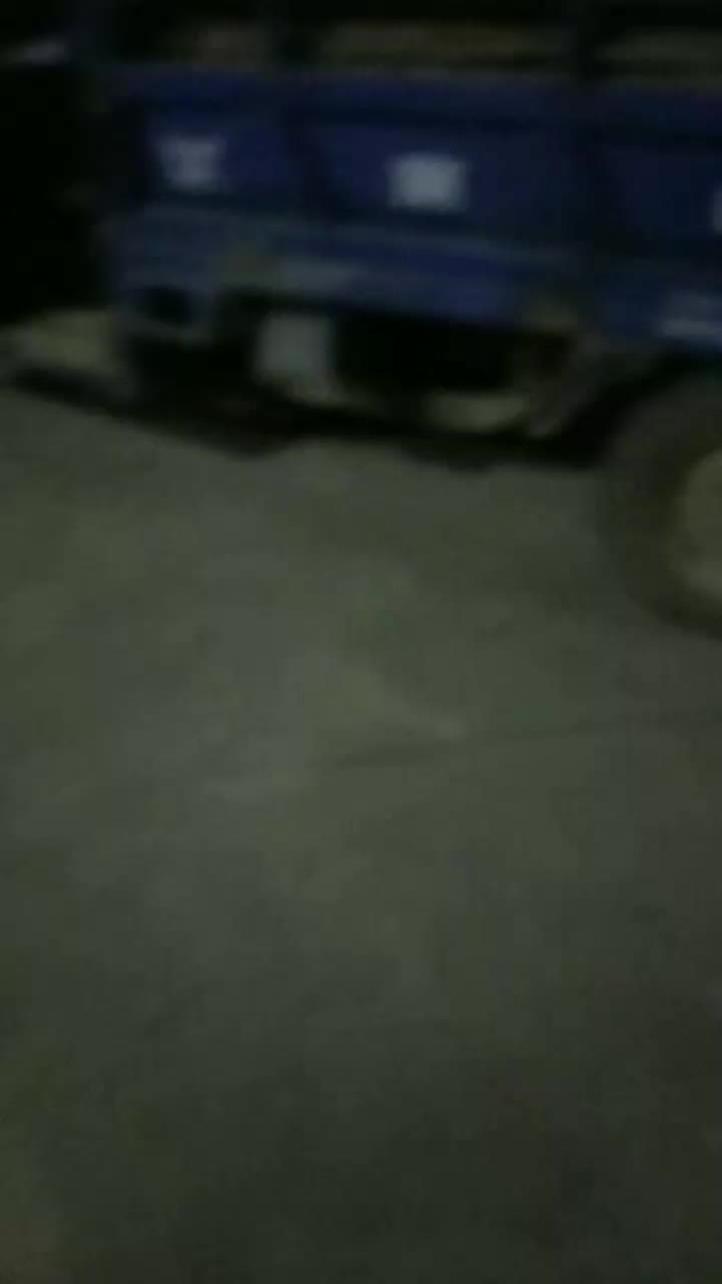 汉寿青皮正在热中，欢迎各位老板前来订购