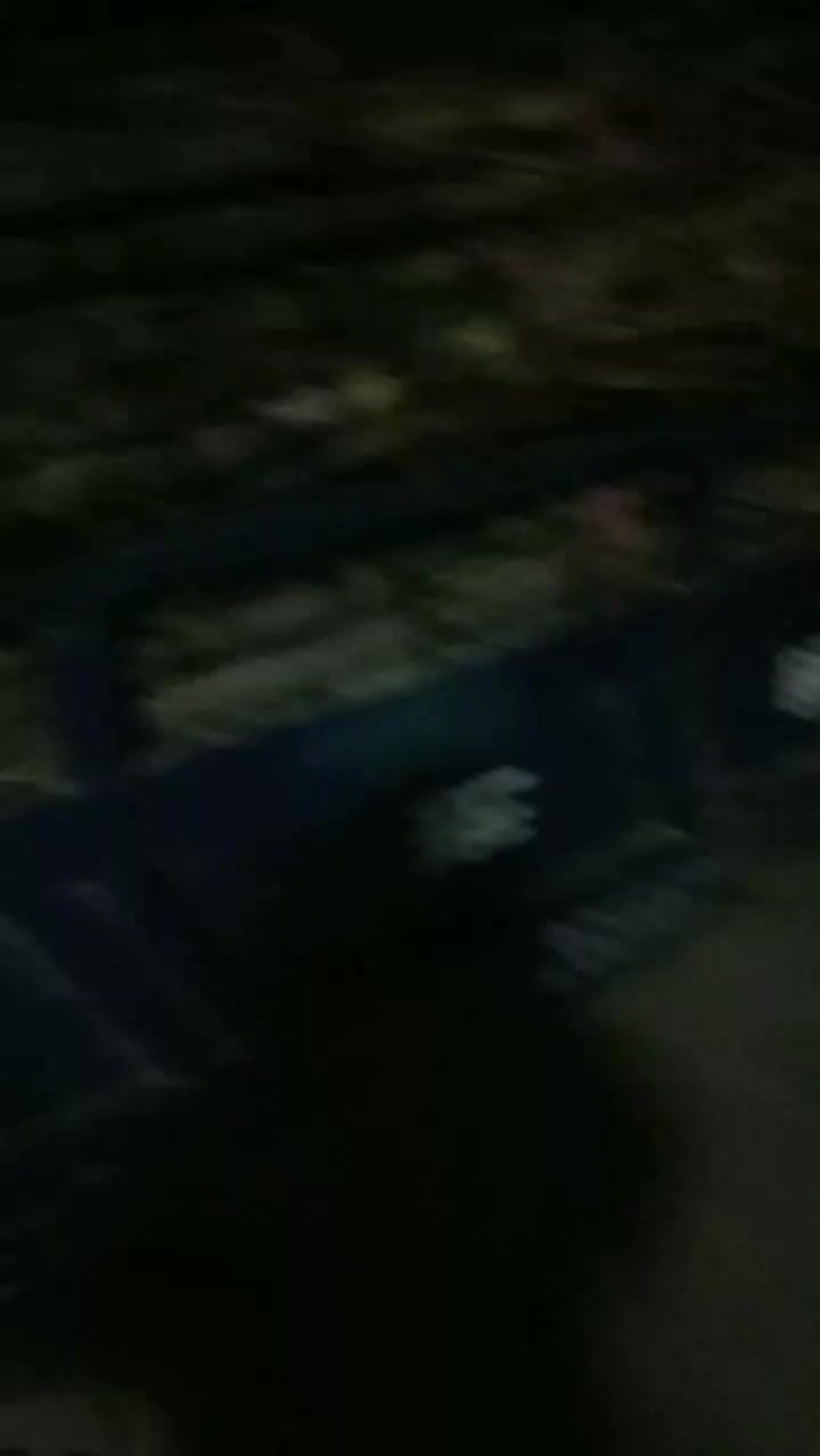 汉寿青皮正在热中，欢迎各位老板前来订购